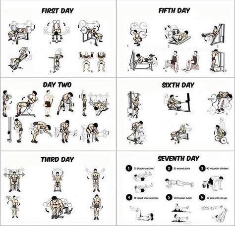 Fitness Workouts Gym Workout Schedule Day Workout Gym Workout