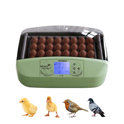 Buy Egg Incubator Eggs With Automatic Egg Turner Temperature