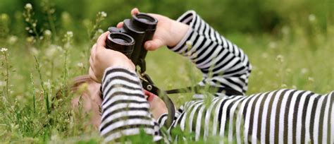 Bird Counting Season Is Here
