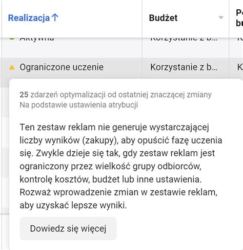 Czym Jest Faza Uczenia W Systemie Reklamowym Meta Facebook Ads