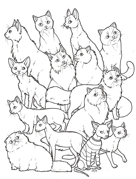 Раскрась котов с правильно - картинки и фото koshka.top