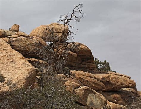joshua tree sound bath 6