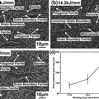 Typical Sem Micrographs Of Wms A W B W And C W D