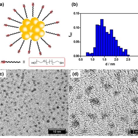 Characterization Of Gold Nanoclusters A Schematic Representation Of Download Scientific