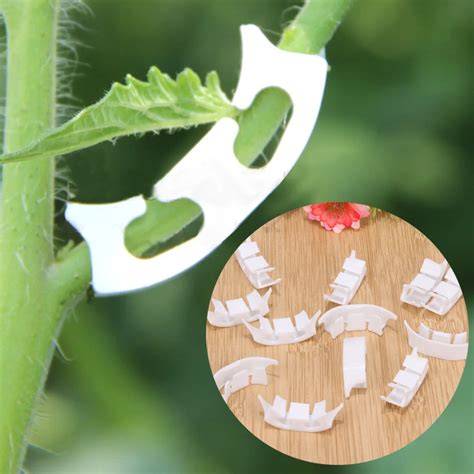 100pcs Plastic Plant Support Clips Hanging Tools - Best Seeds Online ...