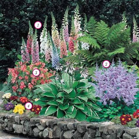 What Flowering Plants Grow In The Shade at Franklin Rodriguez blog