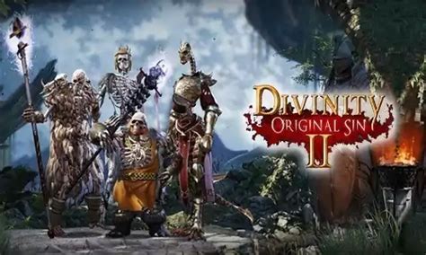 Купить Divinity: Original Sin 2 • REGION FREE