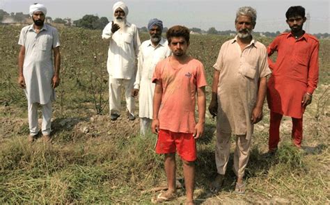 Punjab More Than 17 Cotton Farmers Commit Suicides Over Crop Loss