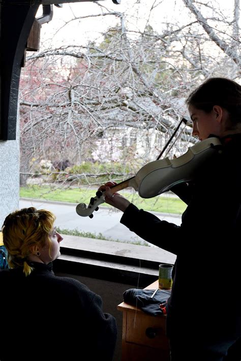 Pussy Willow Sugarbaby Stringband