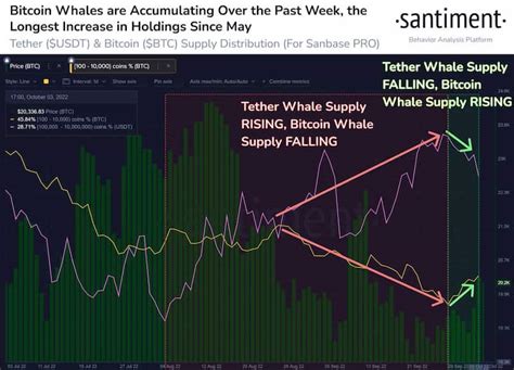 Bitcoin Whales Show ‘rare Signs Of Sustained Accumulation What It