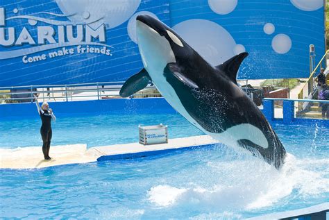 Miami Seaquarium | Triptipper.com