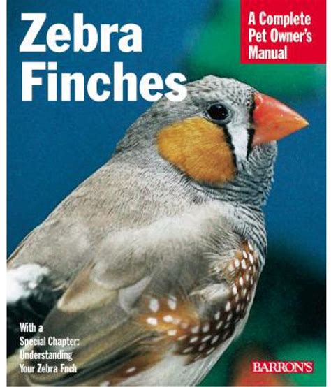 Zebra Finches: Buy Zebra Finches Online at Low Price in India on Snapdeal