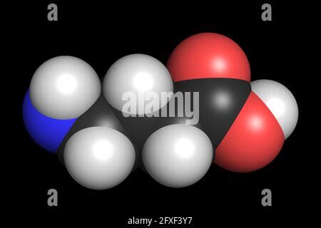 GABA Gamma Aminobutyric Acid Inhibitory Neurotransmitter Molecule 3D