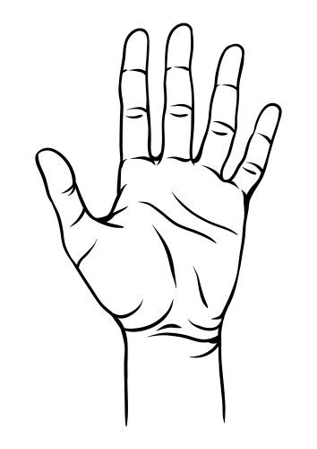 Open Hand Human Palm Drawn Royalty Free Vector Image