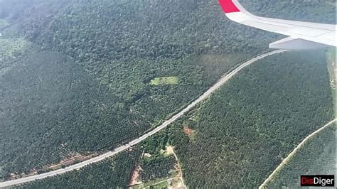 Vídeos avion XVIDEOS