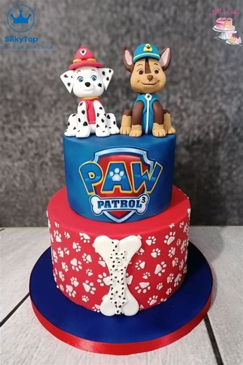 Gâteau d anniversaire Pat Patrouille pour les 3 ans d un petit garçon