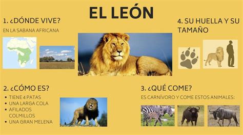 Top Imagen Que Caracteristicas Tienen Los Leones Abzlocal Mx