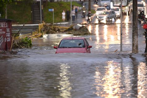 Forte Chuva Causa Alagamentos E Queda De Rvores Em Diversos Pontos De