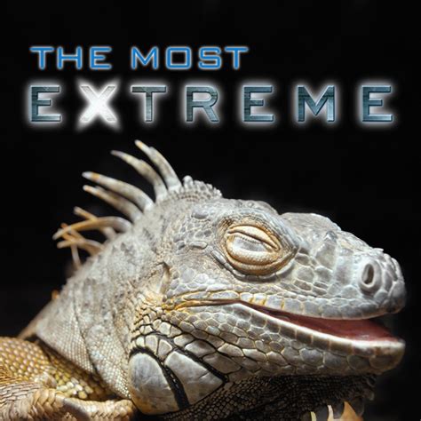 The Most Extreme Microsoft Store