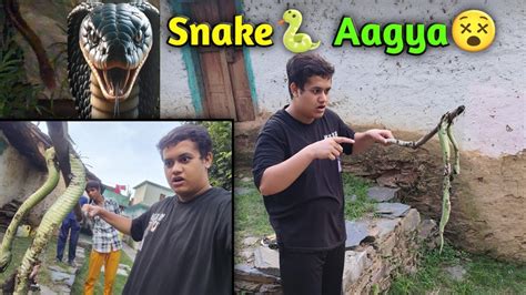 Etna Bada Snake Aagya 😲 Ghrke Saamne 😱 Youtube