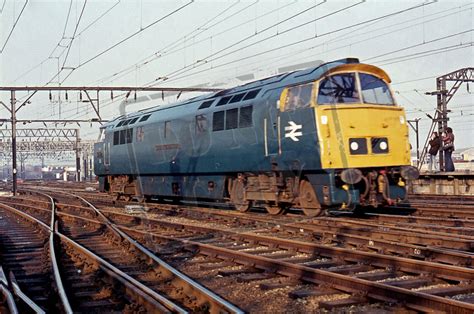 Rail Online Class 52 Western D1023 1977 01 29 Crewe