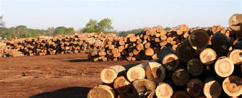 Timberlock Log Home Video