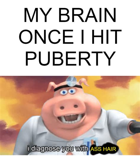 Not Even Facial Hair It S Ass Hair R Memes