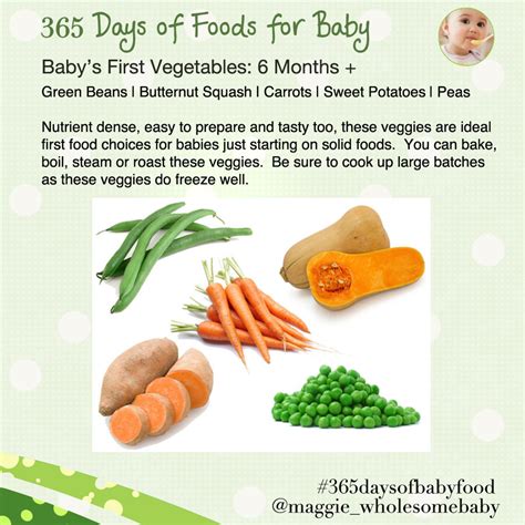 4 months | The Wholesome Baby Food Guide to Making Homemade Baby Food