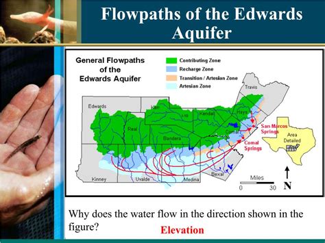 Ppt Aquifersedwards Aquifer Powerpoint Presentation Free Download Id5402930