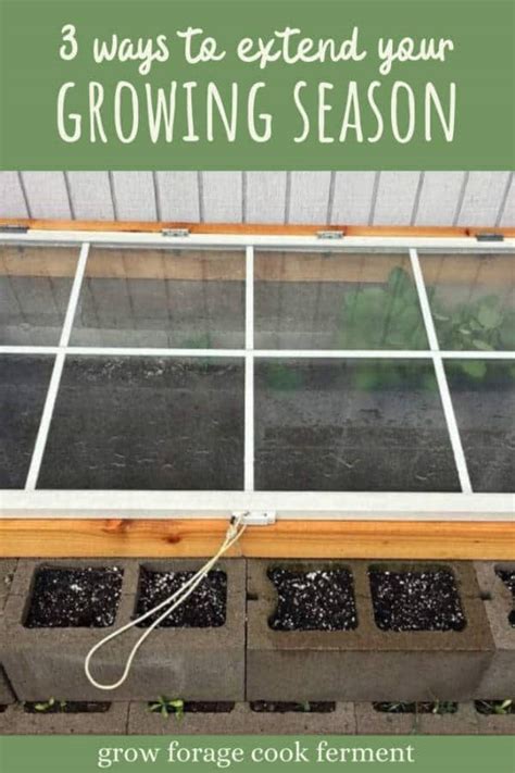 3 Ways To Extend Your Growing Season