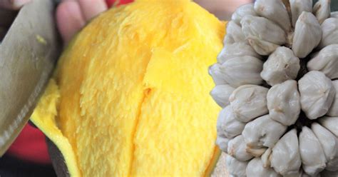 Tarap Bambangan Buah Eksotik Popular Di Sabah Berita Harian