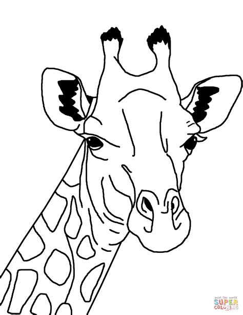 Giraffe Face Coloring Page Free Printable Coloring Pages