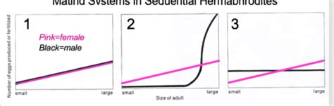 Life History Sex Flashcards Quizlet