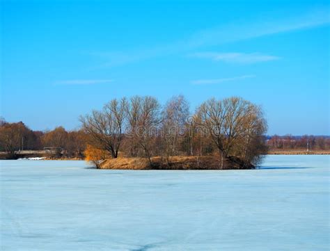 Naked Frozen Female Woman Covered In Ice Stock Photo Image Of Face Beauty 89309262