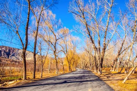 Early Winter Scene in the Northern China Stock Photo - Image of ...