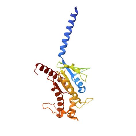 RCSB PDB 8GDZ CryoEM Structure Of Beta 2 Adrenergic Receptor In