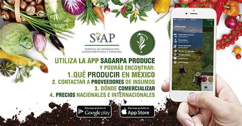 SIAP EN EL MUNDO DIGITAL Servicio de Información Agroalimentaria y