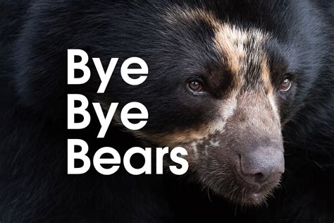 Time To Say Goodbye To The Bears Durrell