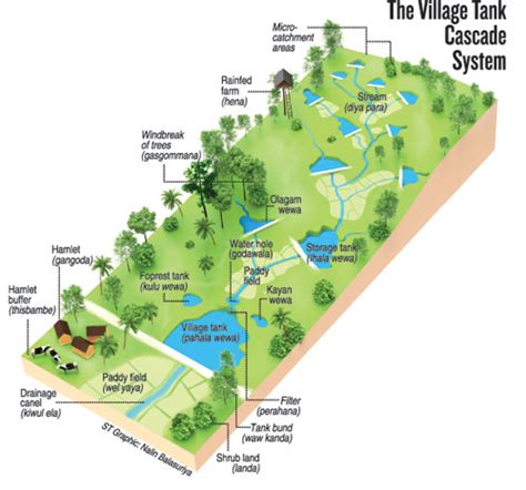 Village Tank Project Provides Lessons For Restoration The Sunday