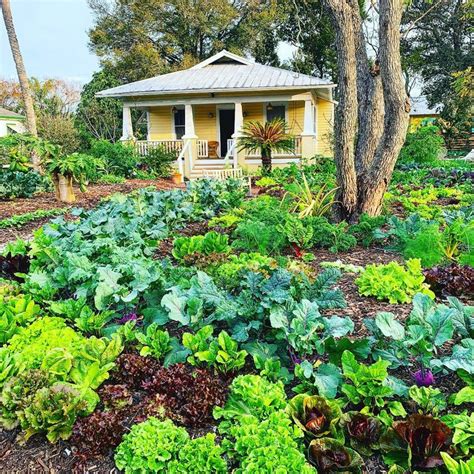 10 Vegetable Garden Design Ideas | The Family Handyman