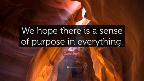 Ozzie Smith Quote “we Hope There Is A Sense Of Purpose In Everything”