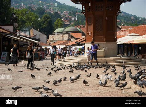 Bosnia And Herzegovina Sarajevo Bascarsija Quarter Pigeon Square