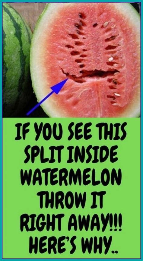 Do You Love Watermelons If You See This Split Inside Watermelon Throw