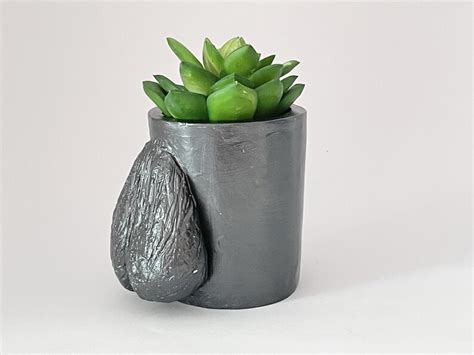 Ball Planter Nude Penis Pot Testicle Planter Succulent Eco Friendly Cup Pencil Pen Holder Etsy