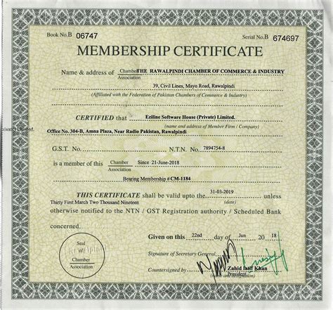 RCCI Chamber of Commerce Membership - EziLine Software House - Best ...