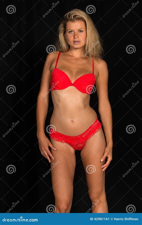 Red Lingerie Stock Photo Image 42981161