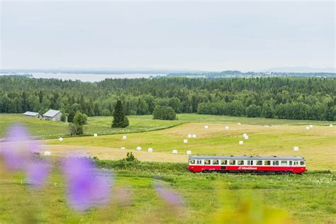 The best things to do in Sweden - Lonely Planet