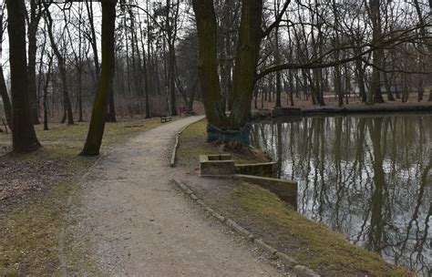 Piotrk W Trybunalski Oficjalny Portal Miejski Park Belzacki W