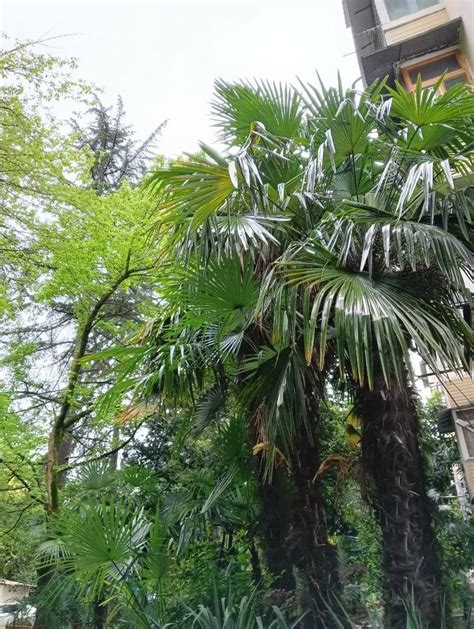 Что такое ретрит?