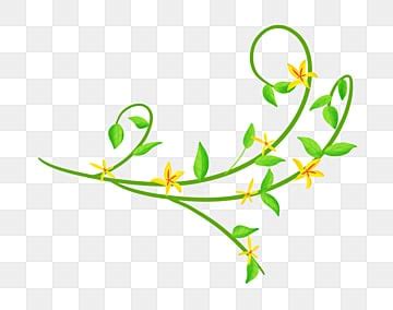 Vine And Branches Clipart Images | Free Download | PNG Transparent ...